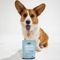 dog UTI, UTI supplement for dogs, cranberry for dogs to help with UTI