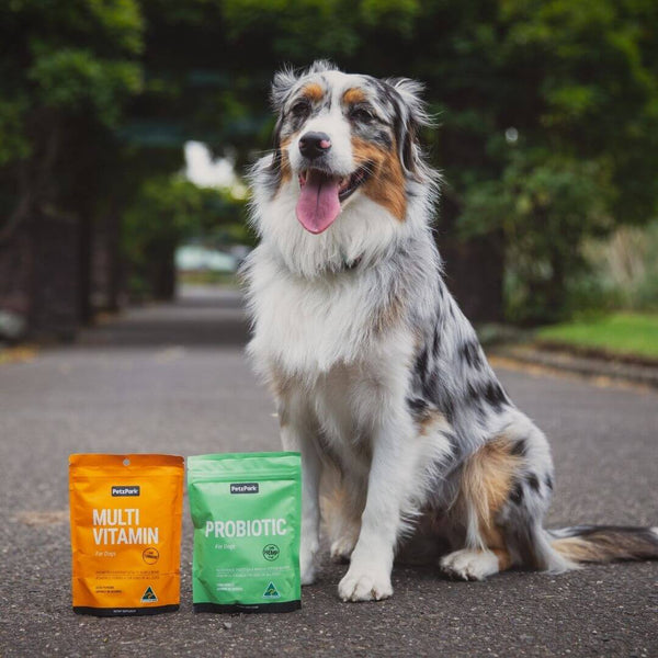petz park puppy pack, australian shepherd