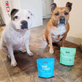 allergies in dogs uk, probiotic supplement for dog allergies, omega 3 for dog allergies