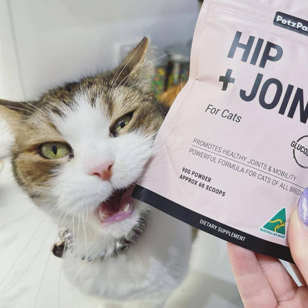 supplements for cats, joint supplements for cats, glucosamine for cats, rescue cat