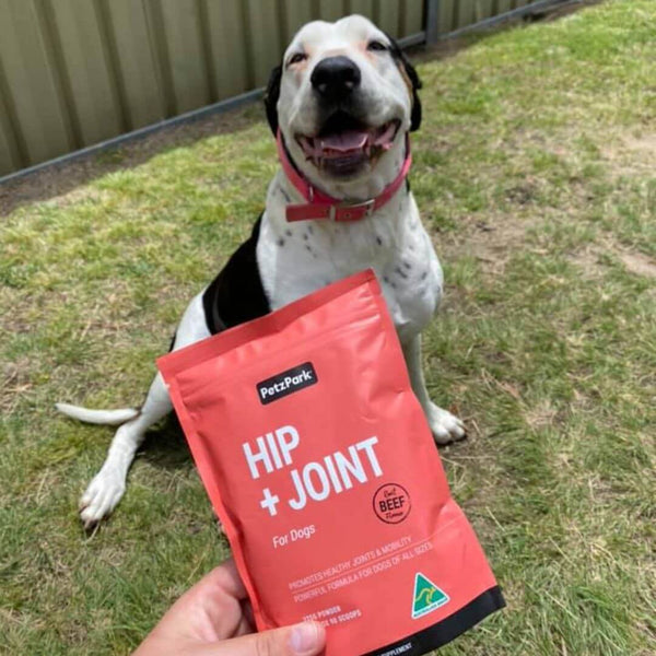 joint supplement for any dog breed, puppy joint supplements, arthritis in older dogs