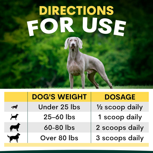 Dog weight dosage chart with a dog in the background
