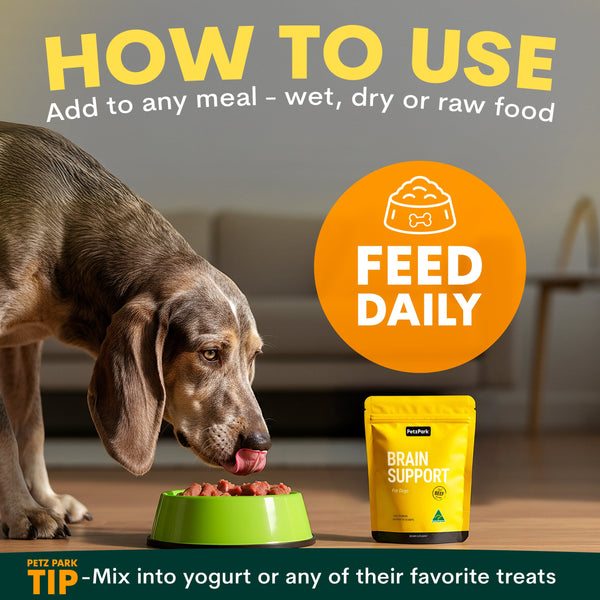 Dog eating from a bowl with a package of 'Brain Support' food, text on how to use the product.