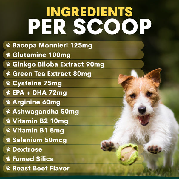 Dog playing with a ball, ingredients list on a green background