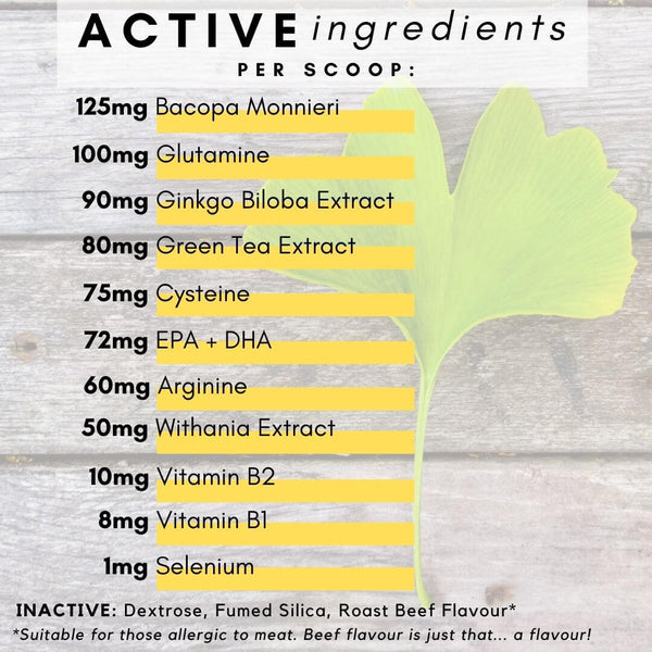 all ingredients that matter for brain function for dogs