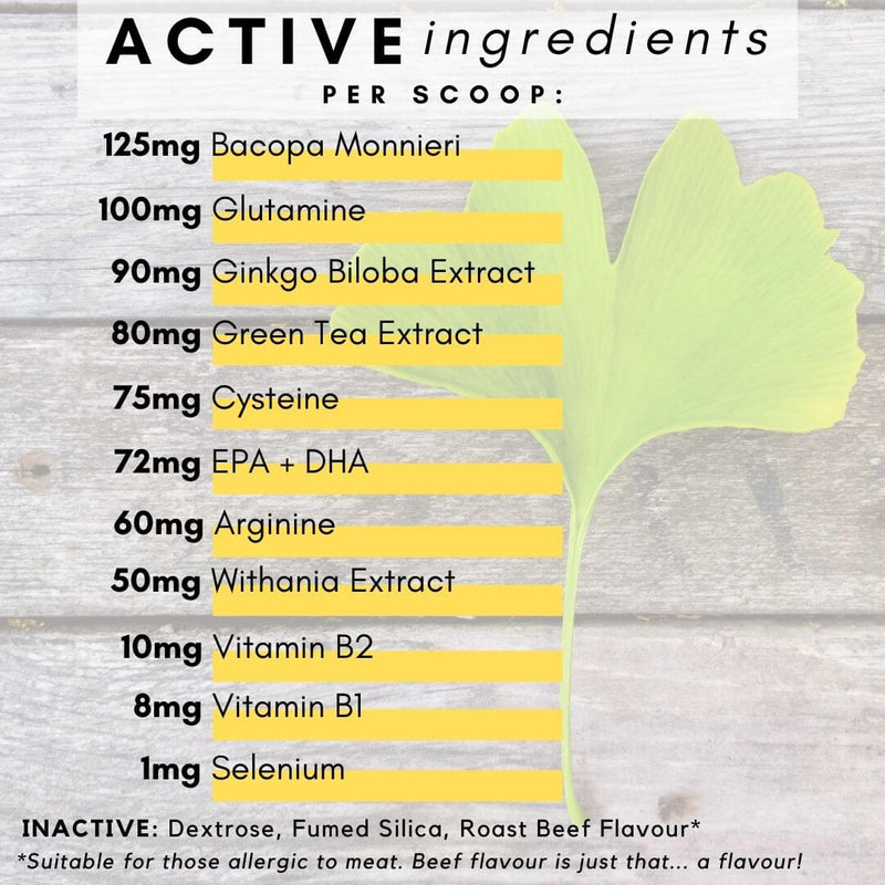all ingredients that matter for brain function for dogs