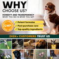 Promotional graphic for a pet product brand with images of dogs and text about honesty, transparency, and customer trust.