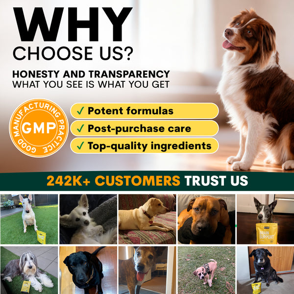 Promotional graphic for a pet product brand with images of dogs and text about honesty, transparency, and customer trust.