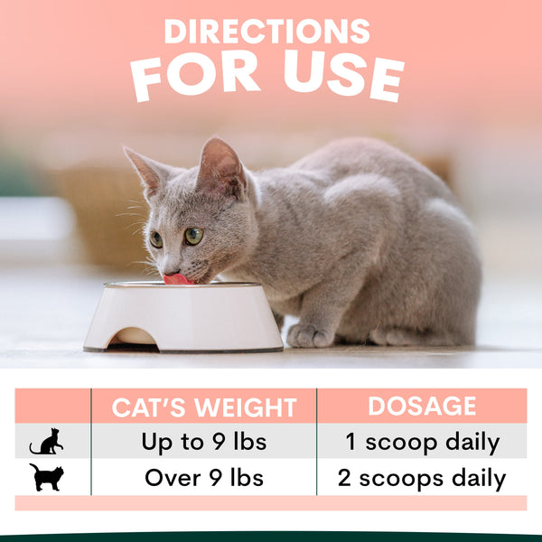 Cat eating from a bowl with dosage instructions displayed below.