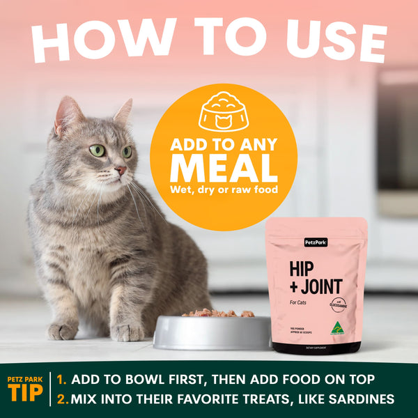 Cat with a 'Hip + Joint' pet supplement package on a white surface