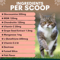 Cat walking outdoors with a list of ingredients per scoop on a pink background