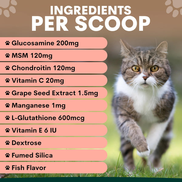 Cat walking outdoors with a list of ingredients per scoop on a pink background
