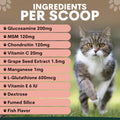 Hip + Joint for Cats