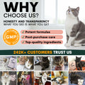 Hip + Joint for Cats