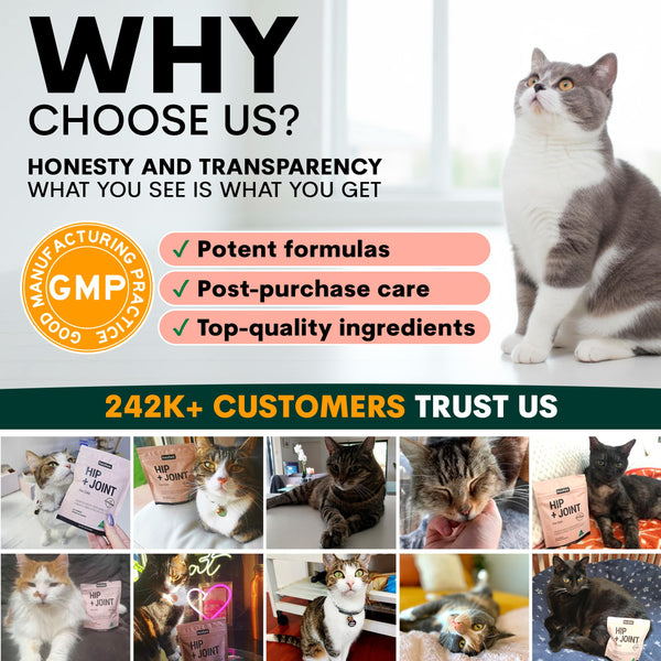 Promotional graphic for a pet product brand with a cat and text about product features and customer trust.