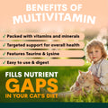 Child holding a cat with text about the benefits of multivitamins for cats.