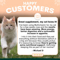 Cat running outdoors with a testimonial about a multivitamin supplement for cats.