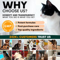 Why choose Petz Park as a trustworthy cat supplement brand