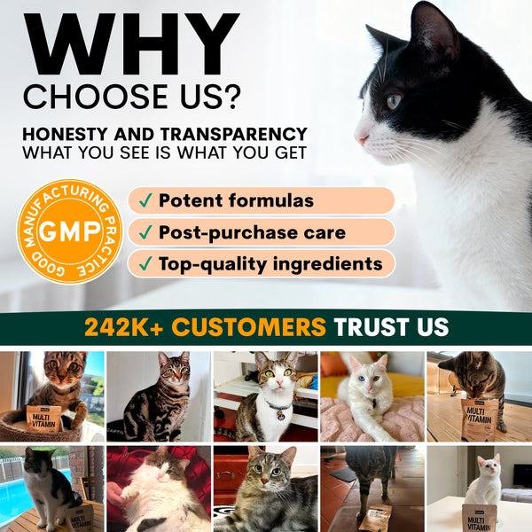 Why choose Petz Park as a trustworthy cat supplement brand