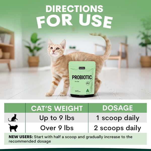 Cat standing next to a probiotic supplement package with usage instructions on a green background