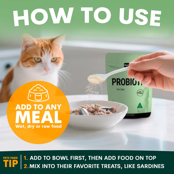 Cat looking at a bowl with probiotic powder being added, next to a probiotic package.