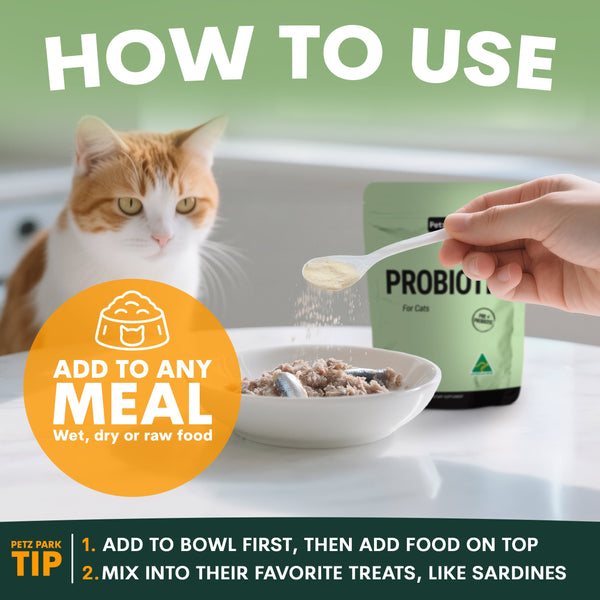 Probiotic for Cats