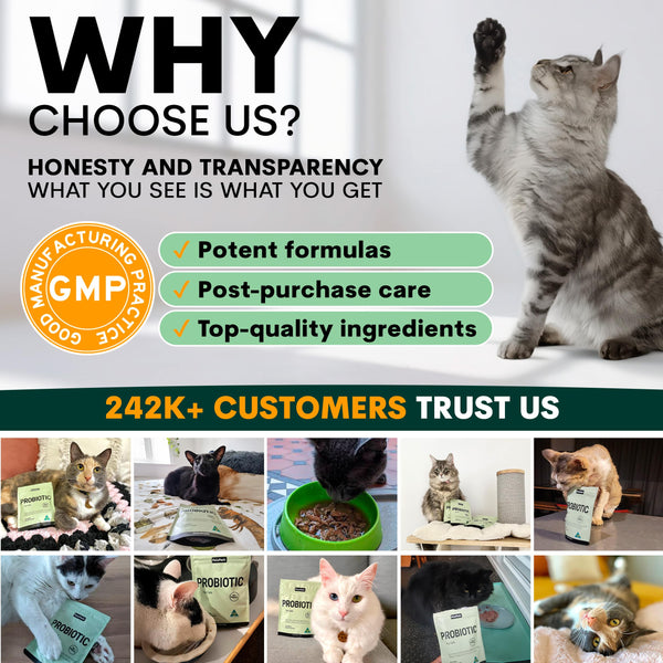 Lots of customers trust Petz Park