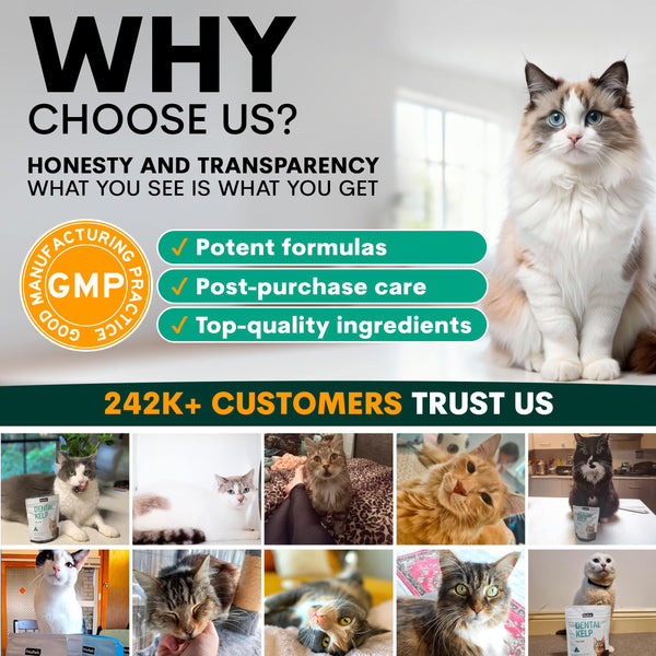 Promotional graphic for a pet product brand with a cat and text about trust and quality.