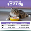 Cat sitting next to a bowl of food with usage directions on a purple background