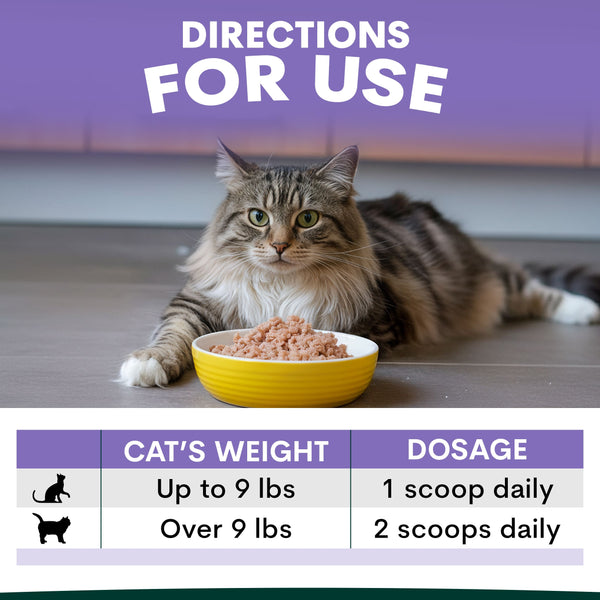 Cat sitting next to a bowl of food with usage directions on a purple background