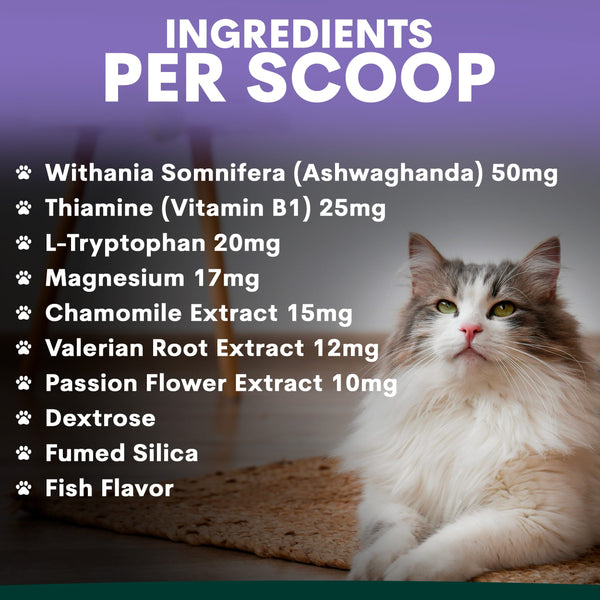 Cat sitting on a mat with a list of ingredients per scoop displayed above it.