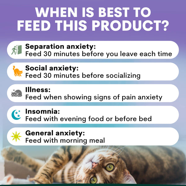 Chart detailing when to feed a product for various types of anxiety with a cat image.
