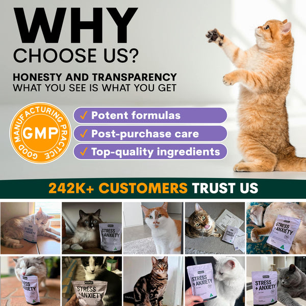 Promotional graphic for a pet product brand with a cat and text about honesty, transparency, and customer trust.