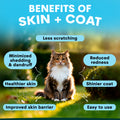 Cat sitting on grass with text highlighting benefits of skin and coat care