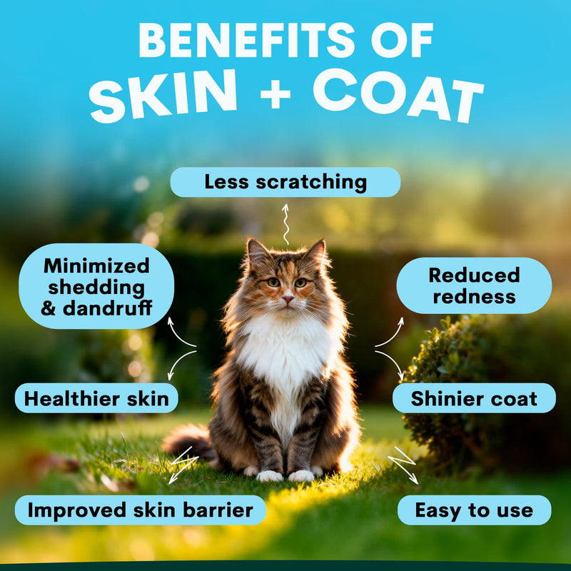 Cat sitting on grass with text highlighting benefits of skin and coat care