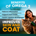 Woman petting a cat with text about omega-3 benefits on a blue and green gradient background