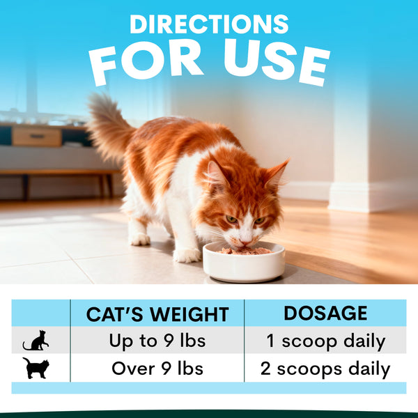 Cat eating from a bowl with dosing chart for pet food on a blue background