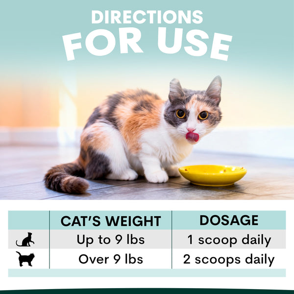 Cat sitting next to a bowl with dosing instructions for use displayed below.