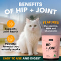 White cat sitting next to a pink pet supplement package with text about hip and joint benefits.