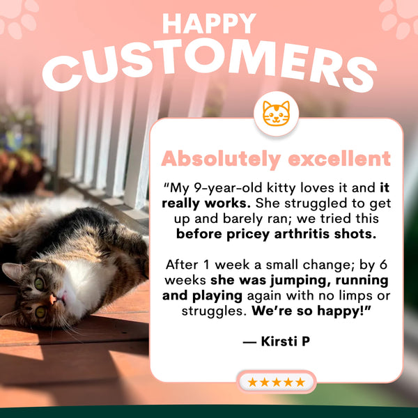 Cat lying on a wooden surface with a testimonial card about its positive effects on a cat's health.