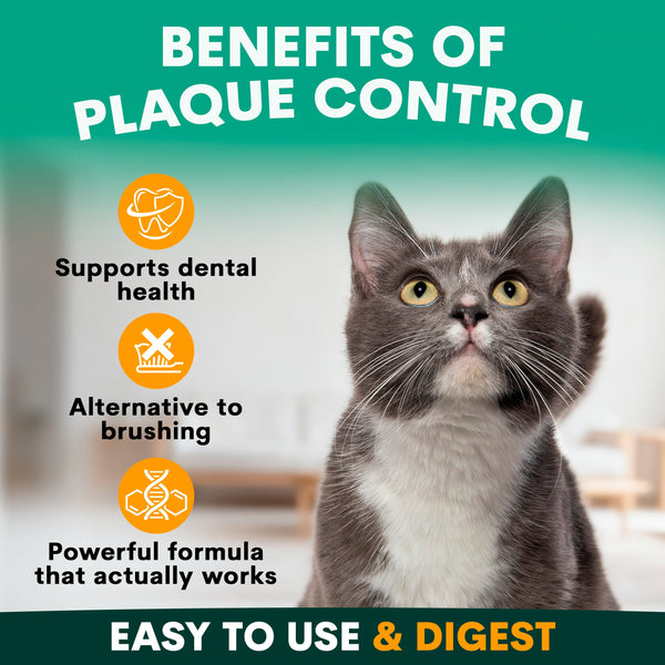 Cat with benefits of plaque control text and icons on a green background