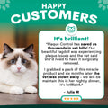 Cat with a testimonial about Plaque Control on a green background