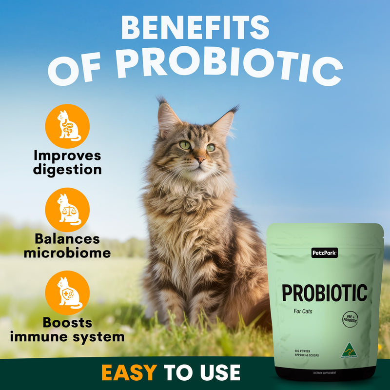 Cat sitting outdoors with a probiotic supplement package, highlighting benefits on a blue sky background.
