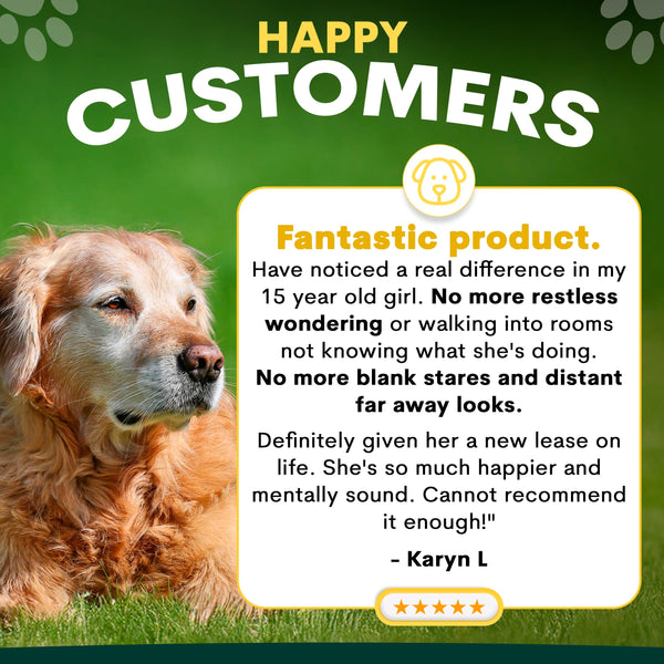 Dog sitting on grass with a testimonial about a fantastic product for a 15-year-old girl.
