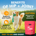Hip + Joint for Dogs