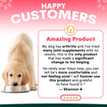 Hip + Joint for Dogs