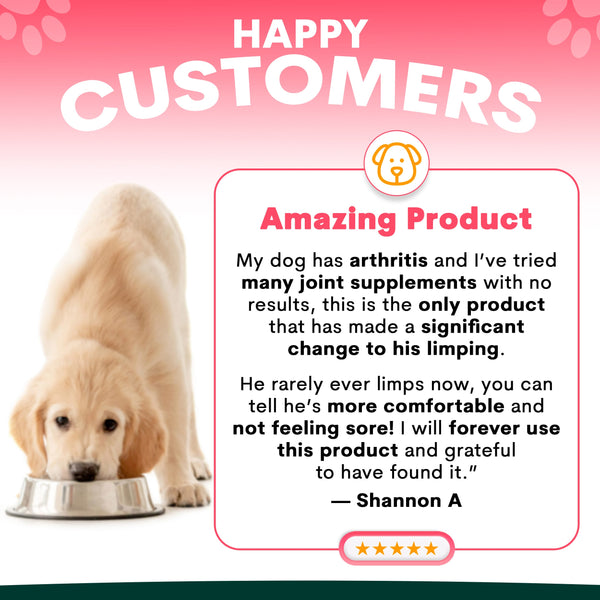 Hip + Joint for Dogs