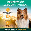 Dog with benefits of plaque control text and icons on a green background