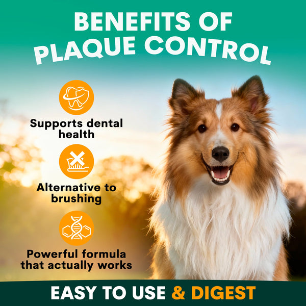 Dog with benefits of plaque control text and icons on a green background