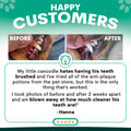 Before and after comparison of a dog's teeth with text and a customer review on a green background.